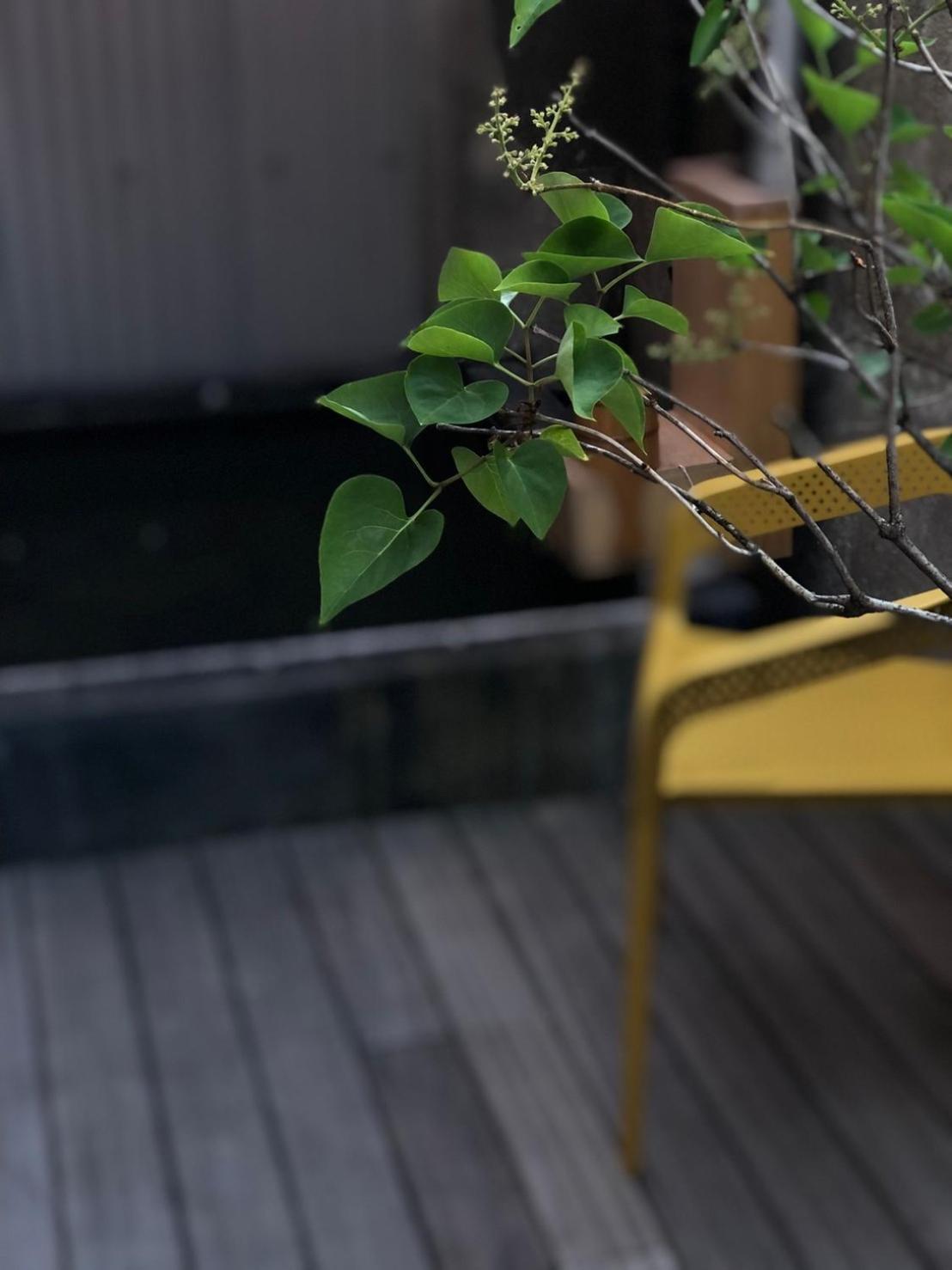 Nisainoyuyado Asahiya Hotell Beppu Exteriör bild